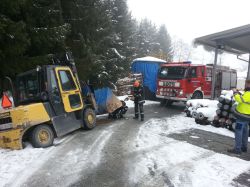 2013 01 29 Staplerbergung 2 20130131 2015726716