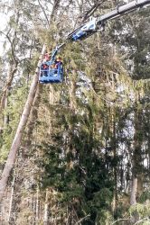 Img 20171212 Wa0021 20171213 1177084685