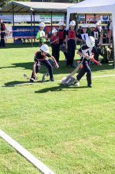 Img 1367 20170702 1511082373