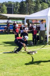 Img 1400 20170702 1037676768