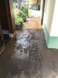 Img 0987 20180605 1581235938