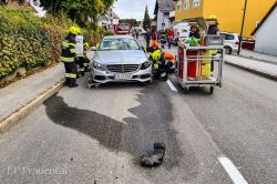 2021 10 16 T10 Rassach Ursprung   20211016 151424 Bearbeitet 20211016 1789282983