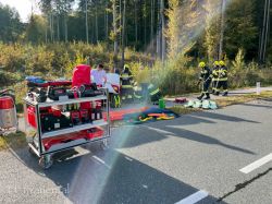 2021 10 20 T10 Muhlangerweg   Kopie Von Img 3432 Bearbeitet 20211020 1451845516