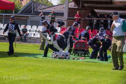 2021 09 04 Fla Regionalbewerb   Dsc 8825 20210907 1714108004