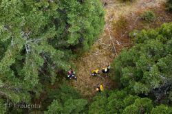2022 10 15 Khd Ubung Waldbrand Barntal   Dji 0832 20221016 1268748306