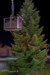 2023 11 29 Lichterbaum Schmucken   Img 20231129 174635 20231201 1145841974