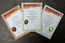 2023 01 05 Branddienstleistungsprufung Bronze Silber Gold   20230105 185508 20230106 1574378494